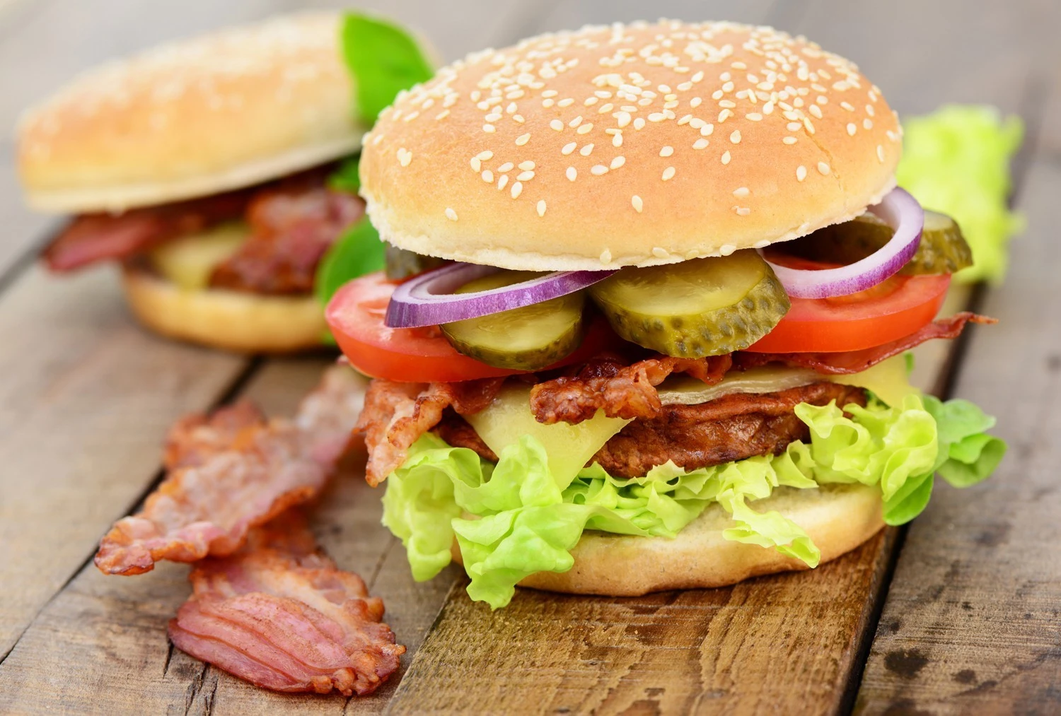 Rösle Burgerpresse Ø11 Cm 6 Rösle Burgerpresse Ø11 Cm - Image 4