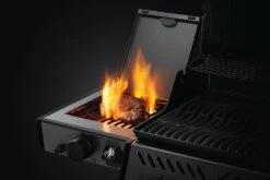 Napoleon Freestyle 365 Gasgrill, Graphit - Mit Sizzle Zone - Modell 2023 - X-DEAL Inkl. Drehspiess 28 Napoleon Freestyle 365 Gasgrill, Graphit - Mit Sizzle Zone - Modell 2023 - X-DEAL Inkl. Drehspiess -Rosles Der Grill Geschaft Napoleon Freestyle Sizzle Zone