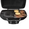 Napoleon Grillplatte / Gussplatte Für TRAVELQ 285 / PRO285 2 Napoleon Grillplatte / Gussplatte Für TRAVELQ 285 / PRO285 -Rosles Der Grill Geschaft napoleon gussplatte plancha travelq 285 56080