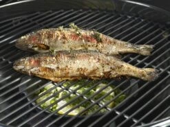 Outdoorchef Gusseisenpfanne / Aromapfanne Ø 23cm -Rosles Der Grill Geschaft outdoorchef aromapfanne 18 211 71 f