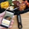Outdoorchef Gourmet Check Dual BT Bluetooth Grillthermometer -Rosles Der Grill Geschaft outdoorchef gourmet check dual bt 18 212 59 01